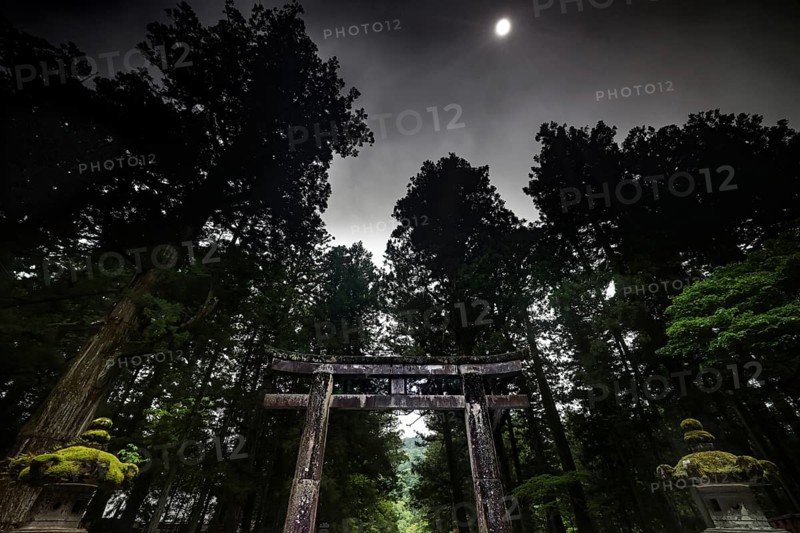 Torii at Toshogu shrine at night in mystical forest landscape, Nikko, Japan