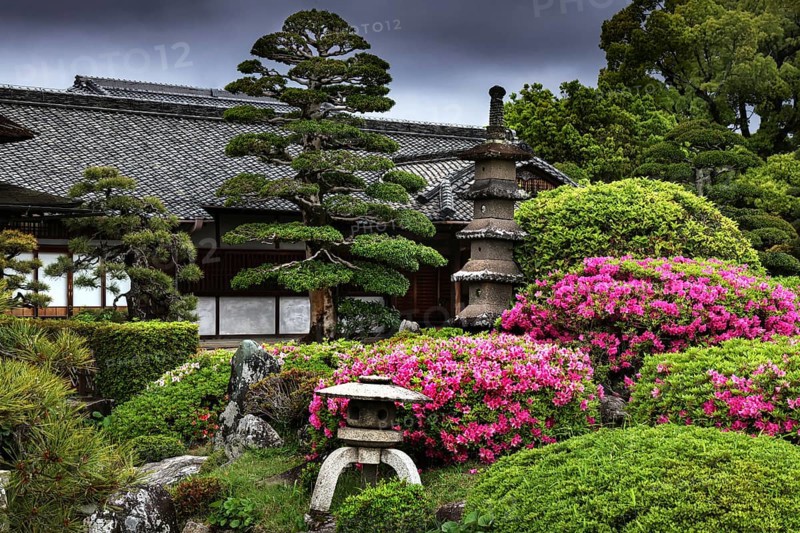 Traditional Japanese garden with pagoda, tea house and bright flowering shrubs, Okayama, Okayama, Japan