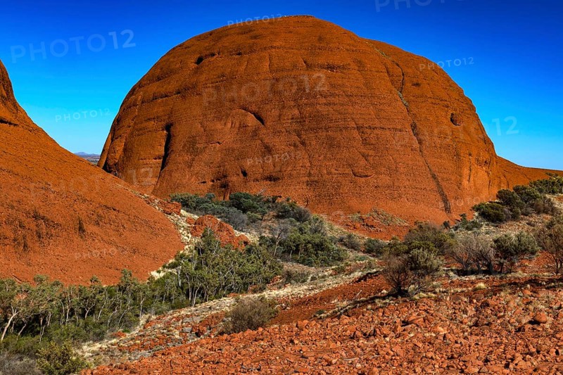 Large round rock formation with dense vegetation in the valley, Kata Tjuta, Northern Territory, Australia