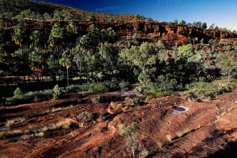 Vastness of valley with scattered trees and rocks under clear skies, Palm Valley, Northern Territory, Australia
