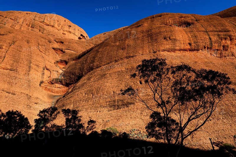 Rugged rocks in sunlight with shade of trees, Kata Tjuta, Northern Territory, Australia