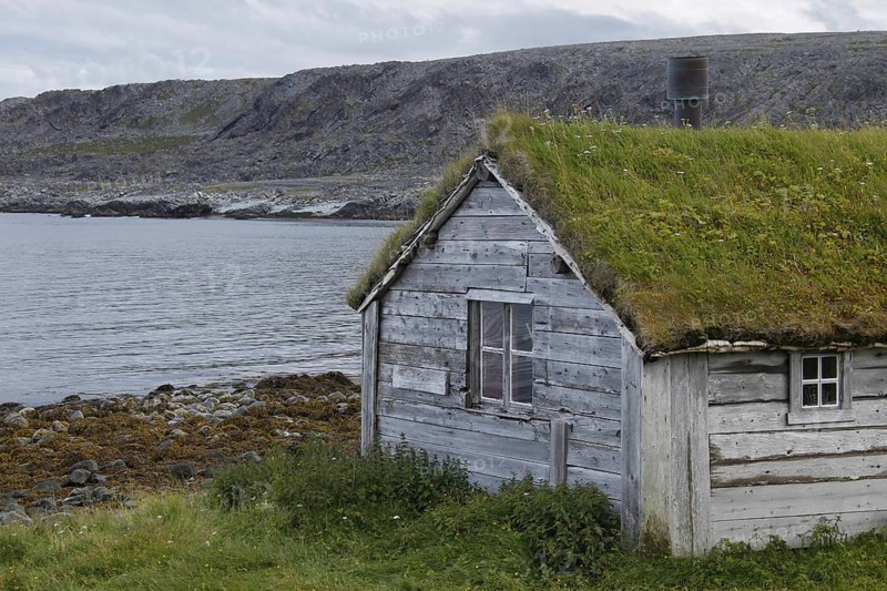 Wooden house with a grass roof in the nature of Hamningberg