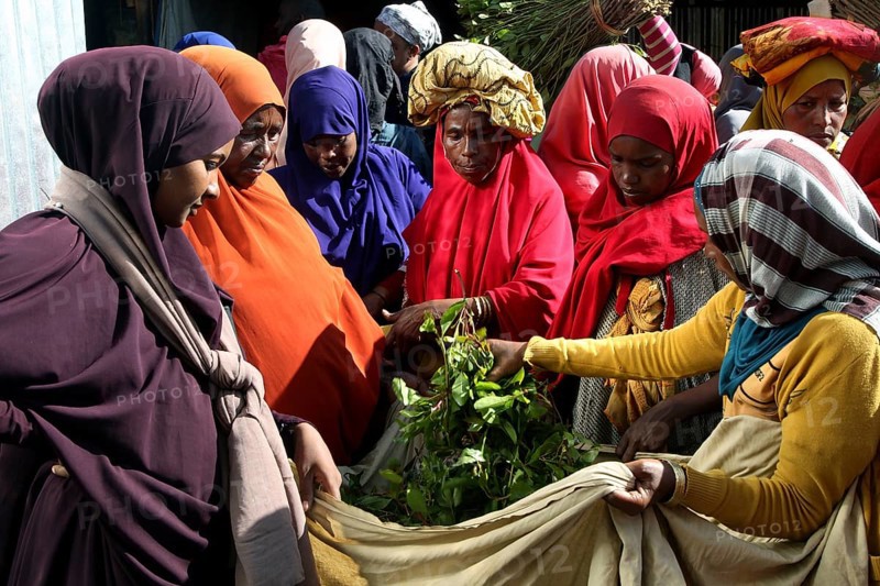 ETH Awaday, Khat, Market