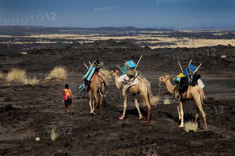 Caravan with camels and people in the vast desert landscape, zero