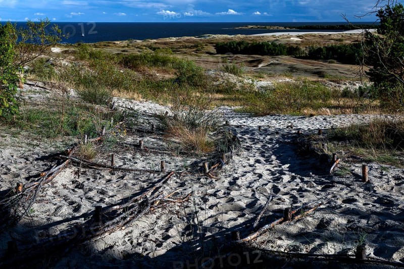 Wide dune landscape with beach twigs and views of the sea under a blue sky, Nida, Curonian Spit, Lithuania