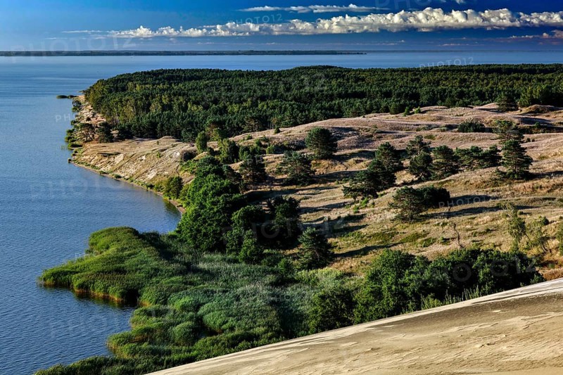 Lush vegetation over sand dunes with views of sparkling sea and clear skies, Nagliai, Lithuania