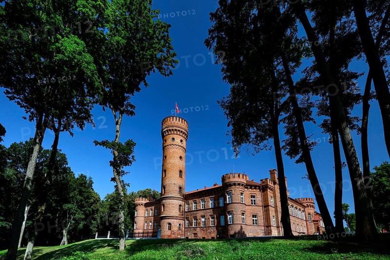 The majestic Raudonn Castle surrounded by tall trees under a bright blue sky, Raudonn, Lithuania