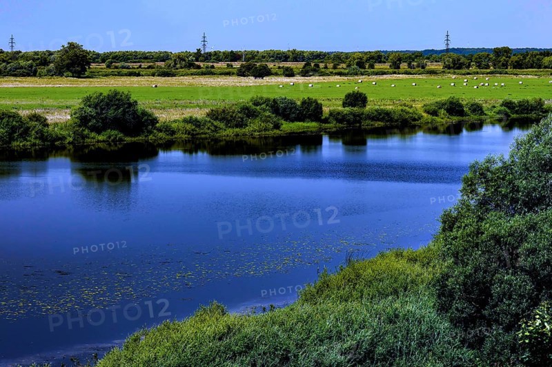 View of the river in Rambynas Regional Park with lush vegetation and clear sky, Memel, Lithuania