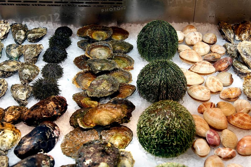 Diverse seafood artfully arranged at a fish market, Bergen, Norway