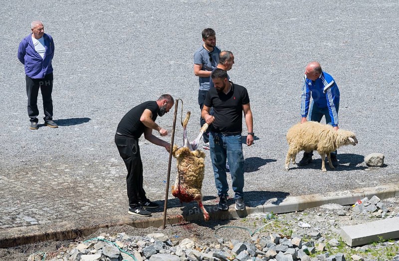 Men work on a sheep slaughtering on a rocky ground, bloody spots concentric, slaughter of sheep, Kvemo Mleta, Mtskheta-Mtianeti region, Georgian Military Highway, High Caucasus, Georgia