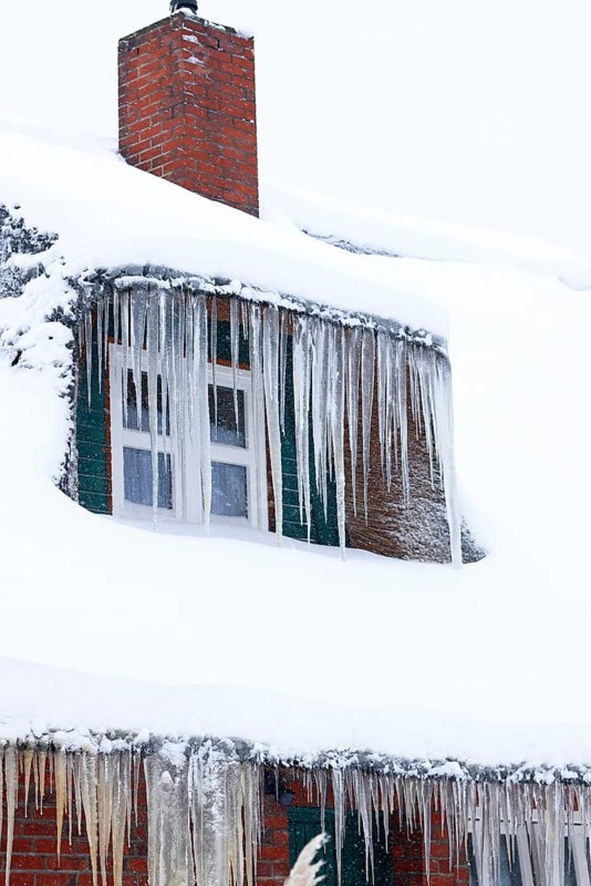 Icicles on an old thatched house covered with snow during snow flurries in winter, Schleswig-Holstein, Germany