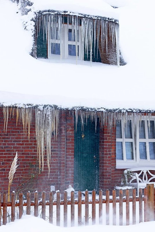 Icicles on a decrative old thatched house covered with snow in a snowstorm in winter, Schleswig-Holstein, Germany