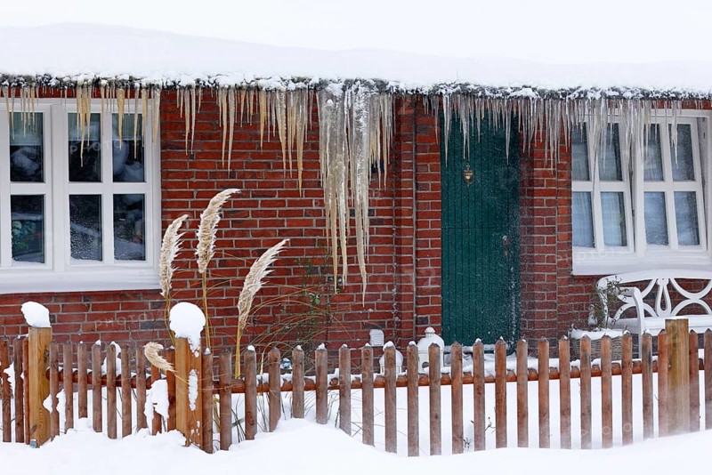 Icicles on a decrative old thatched house covered with snow in snow flurries in winter, Schleswig-Holstein, Germany