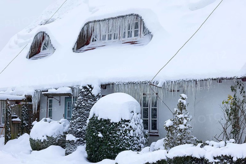 Icicles on a decrative old thatched house covered with snow in winter, Schleswig-Holstein, Germany