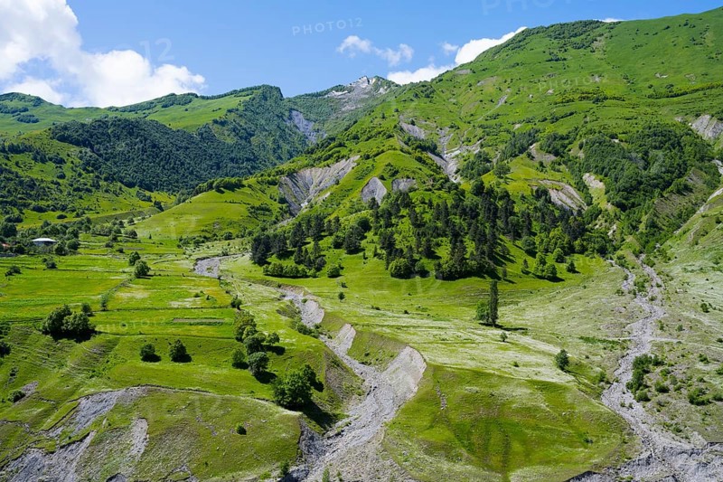 Idyllic hilly landscape with forest and meadows, nestled in a mountainous region in summer, landscape between Kvesheti and Gudauri, Mtskheta-Mtianeti region, Georgian Military Highway, High Caucasus, Georgia