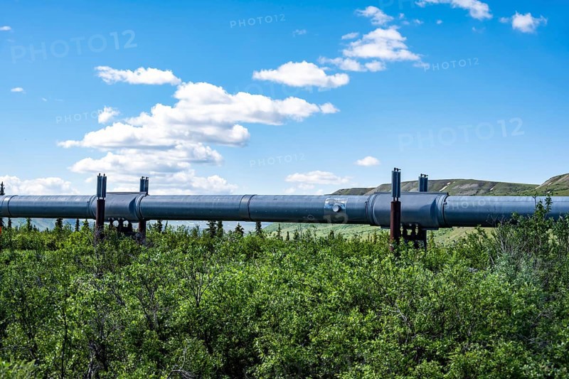 Alaska Pipeline Oil Pipeline, Alaska Range, Richardson Highway, Alaska, USA
