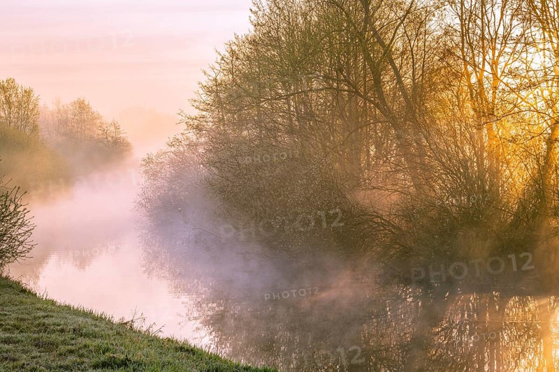 River Lohne at sunrise with fog, Dümmer, Lembruch, Lower Saxony, Germany