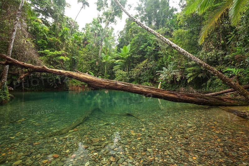 The Blue Hole, Cooper Creek, Daintree National Park, Queensland, Australia