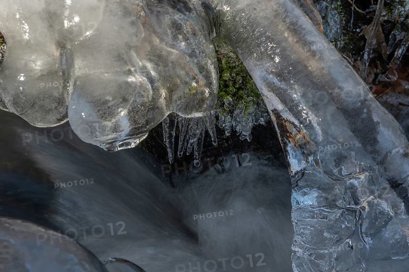 Branches are covered with ice near the river. The water flows gently and forms ice formations on the land and between the rocks. Upper Rhine, Vosges, Alsace, France
