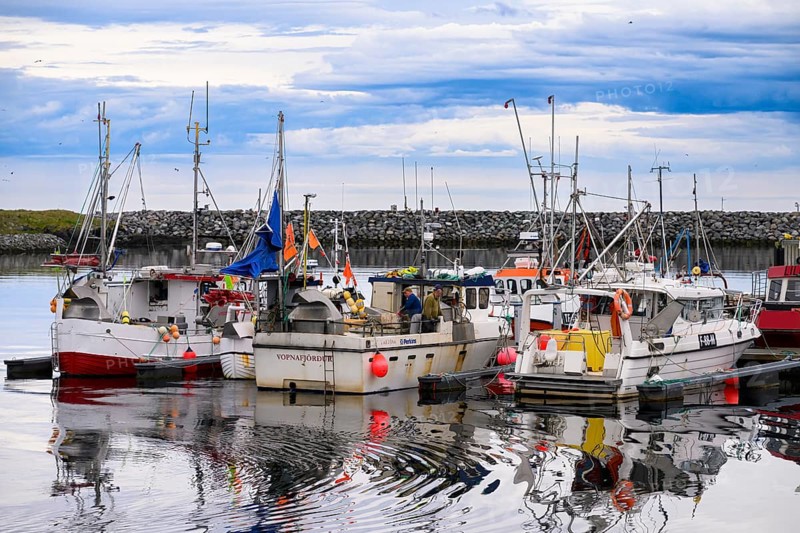 Fishing boats Fishing vessels are moored in Berlevag harbour in the north of the Varanger Peninsula with colorful buildings in the background, Berlevåg, Finnmark, Norway