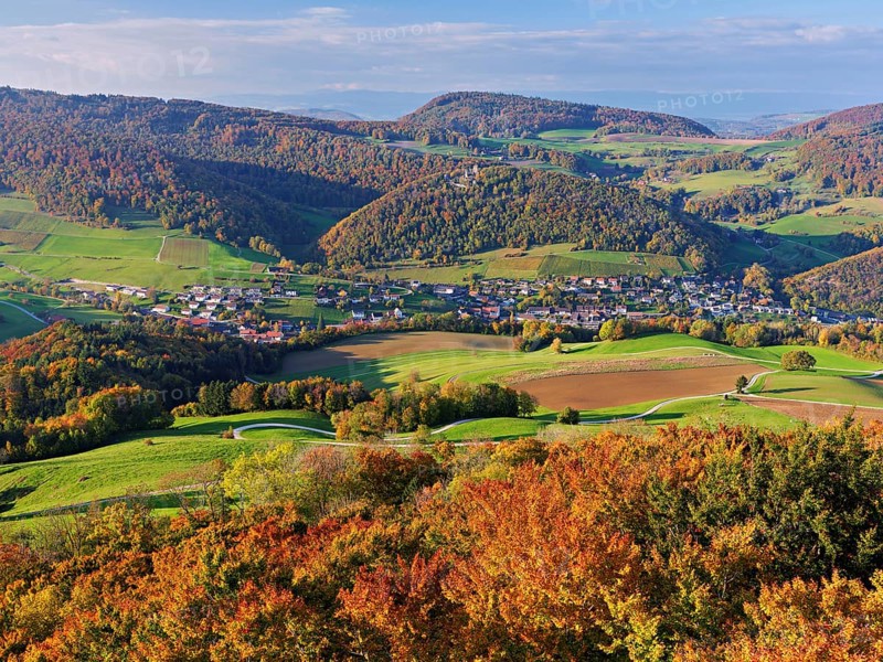View from the Gisliflue of an autumnal forest with the Jura foothills behind, Talheim, Canton, Aargau, Switzerland