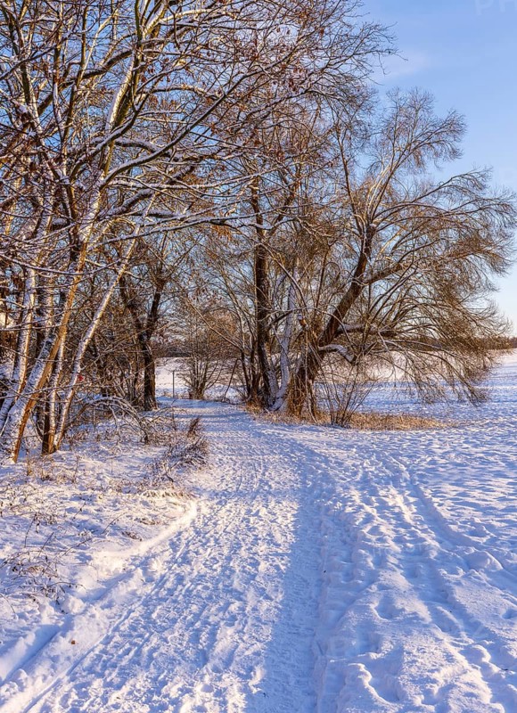 Winter landscape, fields and fields in Berlin Lübars, a village in Berlin Reinickendorf, Germany