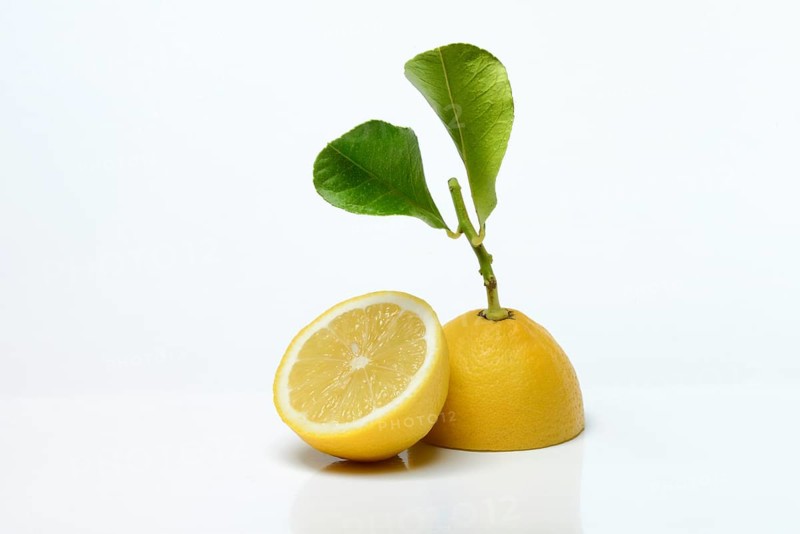 Lemon with leaf, cut in half, Citrus x limon