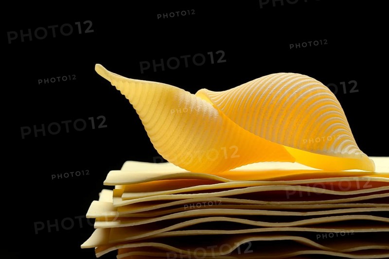 Uncooked lasagna leaves and mussel noodles, conchiglione
