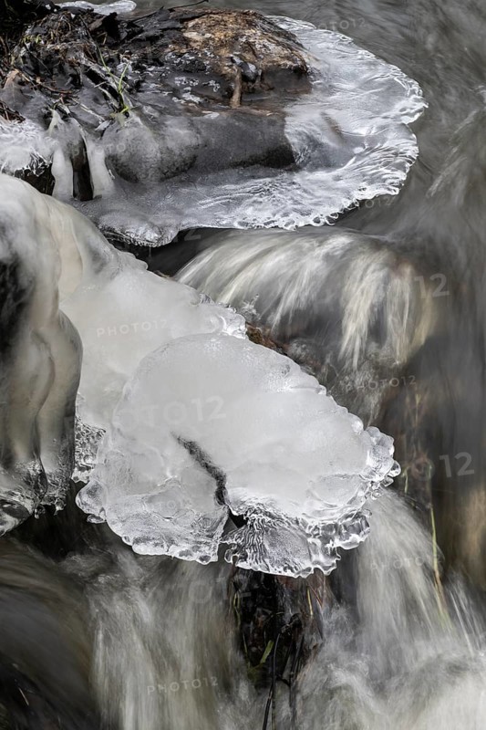 Natural ice sculptures on a stream, Emsland, Lower Saxony, Germany