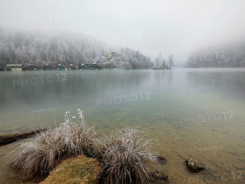View across Königssee to boathouses, Christlieger island and frozen trees in fog, Schönau am Königssee, Berchtesgadener Land, Upper Bavaria, Bavaria, Germany