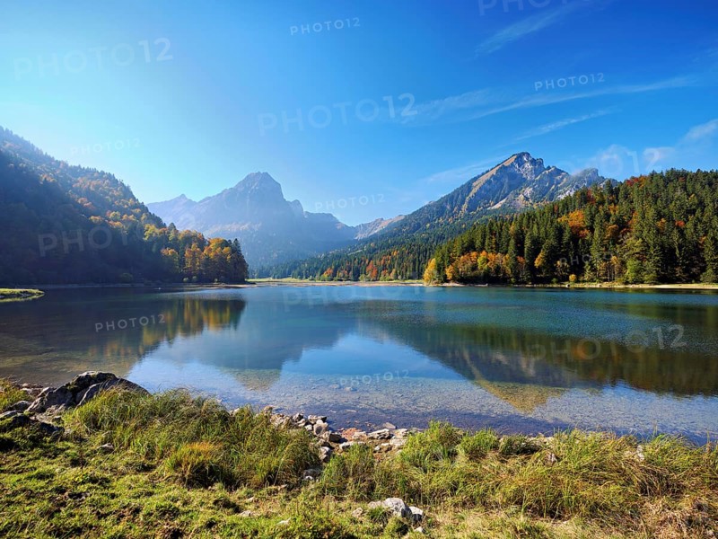 Autumn-colored forest is reflected in Obersee, Näfels, Canton of Glarus, Switzerland