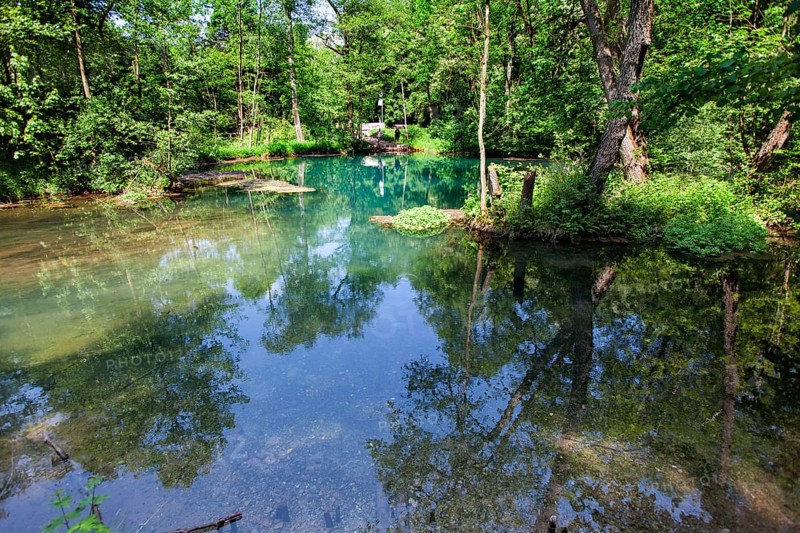 The Rhume Spring with blue-green colouration, source of River Rhume, large karst spring, Harz mountains region, Rotenberg ridge, near Rhumspringe, Germany