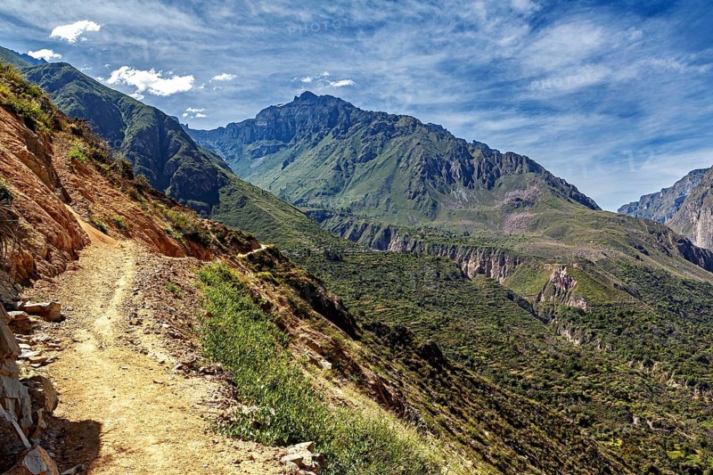 Hiking trail along a mountain under sunny sky, The landscape of Colca Canyon in the Aden of Peru