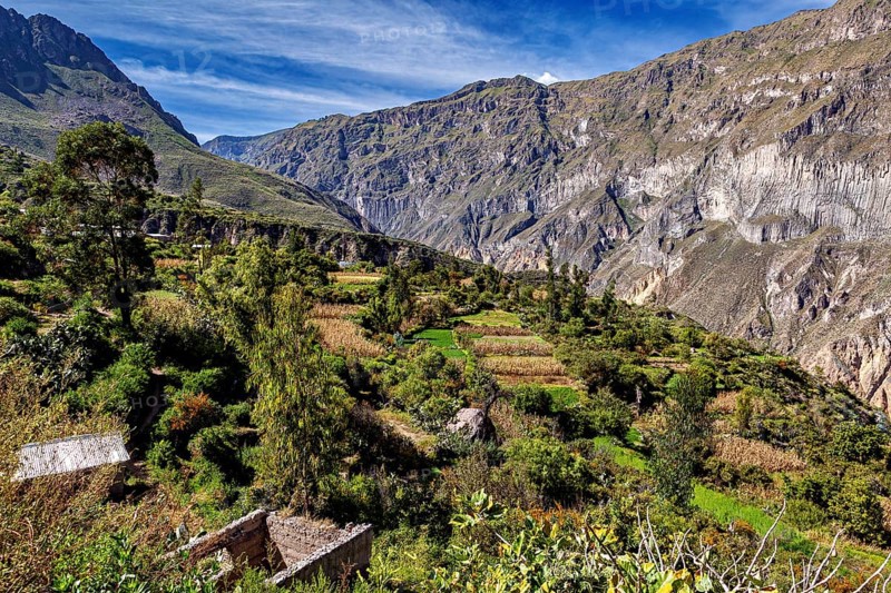 Cottage gardens and terraces against an impressive rocky backdrop, The landscape of the Colca Canyon in the Aden of Peru