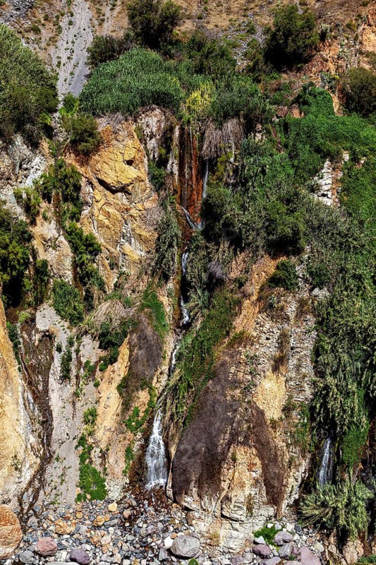 Waterfall flowing among green shrubs and rocks, The landscape of the Colca Canyon in the Andes of Peru