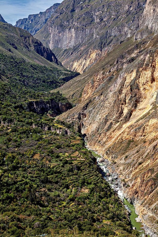 Deep gorge with river course and lush vegetation, The landscape of Colca Canyon in the Aden of Peru