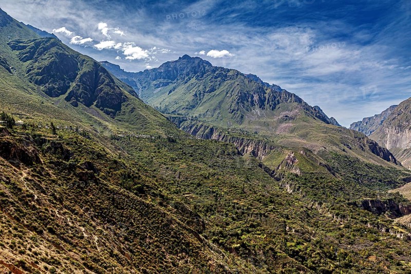 Mountain range under a sunny sky with thick vegetation, The landscape of Colca Canyon in the Aden of Peru