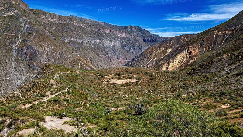 Extensive valley with green hills under clear blue sky, the landscape of Colca Canyon in the Aden of Peru