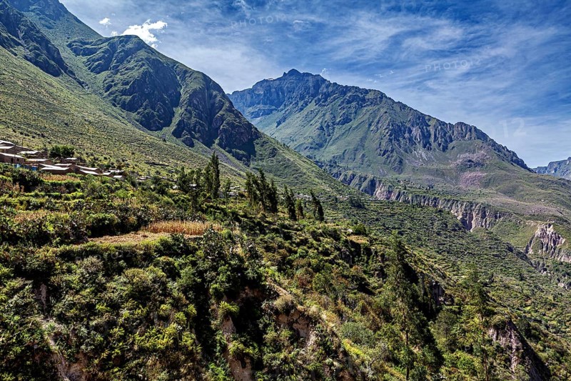 Green mountains and blue sky with scattered meadows and trees, the landscape of the Colca Canyon in the Aden of Peru
