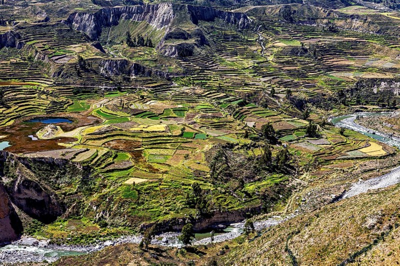 Overview of green fields and a river in terraced hills, The landscape of the Colca Canyon in the Aden of Peru