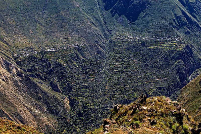 Bird's-eye view of terraces running on the slopes in a mountainous region, The landscape of Colca Canyon in the Aden of Peru