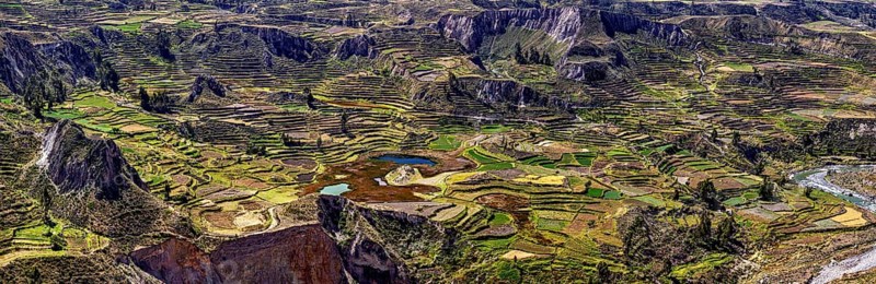 Terraced areas in a hilly landscape with flowing waters, The landscape of the Colca Canyon in the Aden of Peru