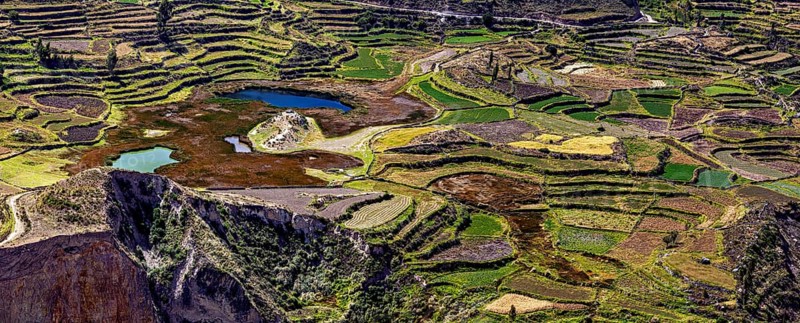 Diversity of terraced fields with small lakes in hilly areas, the landscape of the Colca Canyon in the Aden of Peru