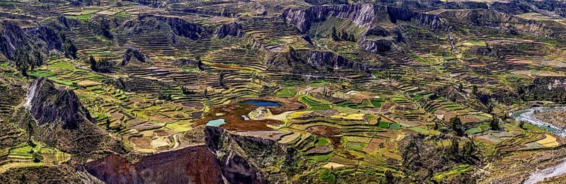 Extensive views of terraced land with a river, the landscape of the Colca Canyon in the Aden of Peru