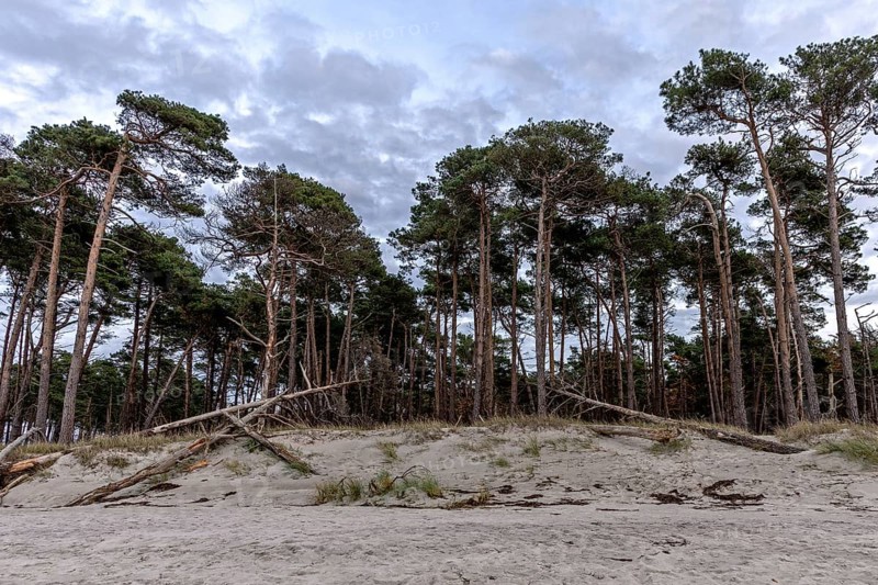 Weststrand Darß, Baltic Sea, Fischland-Darß-Zingst, Western Pomerania Lagoon Area National Park, Mecklenburg-Western Pomerania, Germany