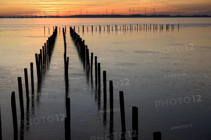 Row of posts over calm water at dusk, deep blue tones, wooden posts, boat dock posts run into the water at sunset, quiet atmosphere, Dümmer See, Lembruch, Lower Saxony, Germany