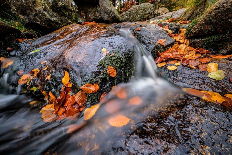 River Bode flows over smooth-cut rocks with autumn colors, autumn colors in the Bodetal nature reserve in the Harz National Park, Königskrug, Braunlage, Lower Saxony, Germany