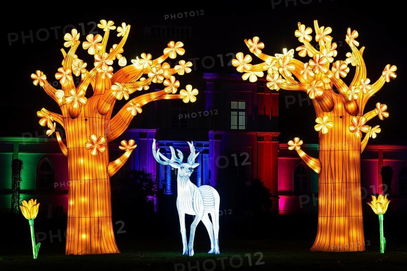 From November 29, 2025 to January 11, 2026, the palm garden and its partner World of Lights illuminate the garden with hundreds of lights, creating a unique atmosphere. During this time, it shimmers brightly between the trees in the flower beds and artistic motifs and spectacular light projections shine in the meadows and at the showhouses, palm garden, Frankfurt am Main, Hesse, Germany