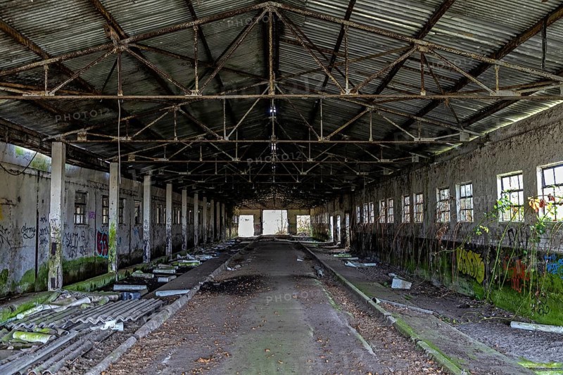 Abandoned hall with Grafity, dilapidated plant of a former agricultural production cooperative of the former GDR, LPG, Lost Place, Müggenburg, Fischland-Darß-Zingst, Western Pomerania National Park, Mecklenburg-Western Pomerania, Germany