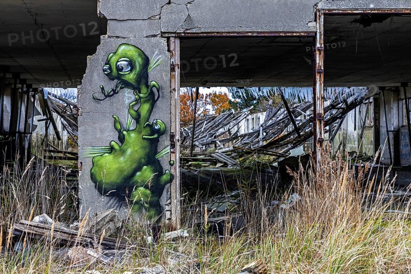 Dilapidated hall with gravity of the dilapidated plant of a former agricultural production cooperative of the former GDR, LPG, Lost Place, Müggenburg, Fischland-Darß-Zingst, Western Pomerania National Park, Mecklenburg-Western Pomerania, Germany